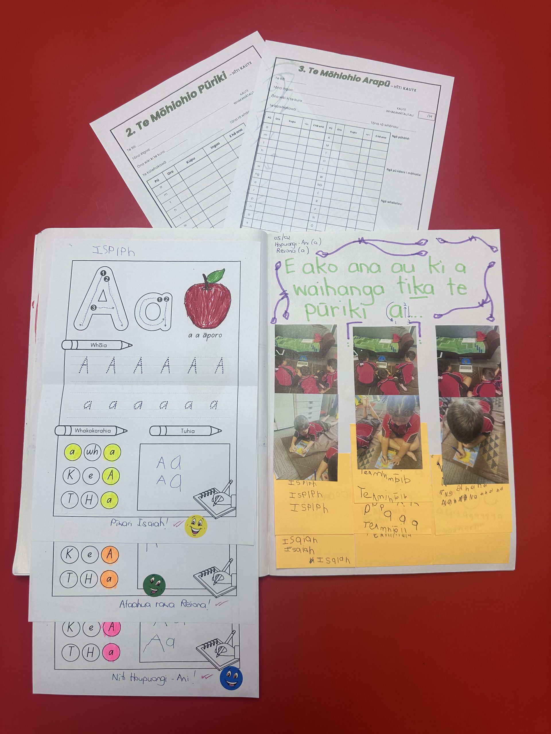Te Pou Aromatawai — Assessment